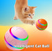 Wicked Intelligent Ball USB Pet Toys (Remote control) UK PET HOUSE