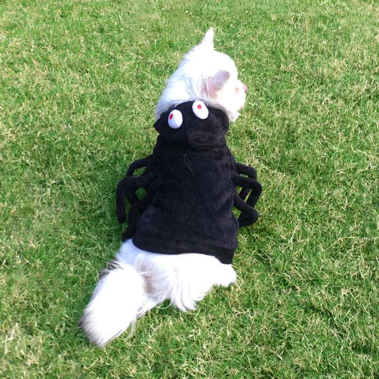 Halloween Spider Pet Costume – Funny Outfit for Cats & Dogs UK PET HOUSE