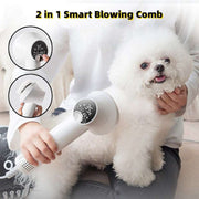 Pet Grooming Hair Dryer – Safe, Quiet Blow & Comb for Pets DOG n KITTY