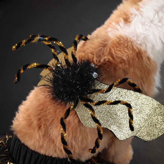 Halloween Spider Web Pet Costume – Dress Up Outfit for Cats & Small Dogs UK PET HOUSE