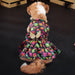 Small Angel Wings Halloween Dress for Dogs & Cats – Pet Costume with Bat or Pumpkin Variant UK PET HOUSE