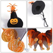 Pet Dog Cat Halloween Bell Collar & Pumpkin Design Hat Set Unbranded