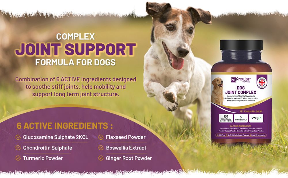 Dog Joint Support 150 Chicken Chewable Tablets 5 Months Supply | UK Made by Prowise